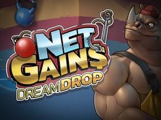 Net Gains Dream Drop screenshot